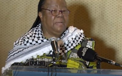 DIRCO Minister Pandor places Palestinian agenda over interests of South Africans